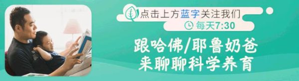 凯丰配资 奇奇妙妙植物园之裸蕨