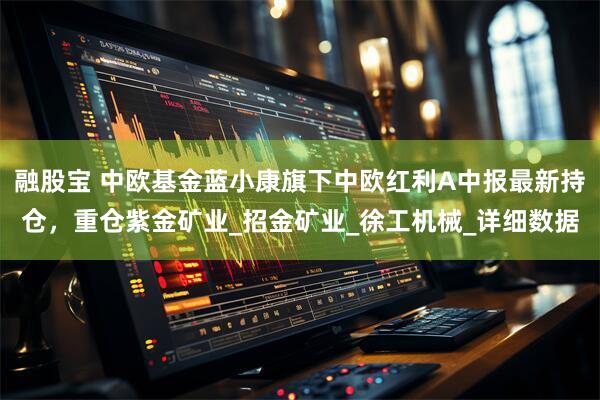 融股宝 中欧基金蓝小康旗下中欧红利A中报最新持仓，重仓紫金矿业_招金矿业_徐工机械_详细数据