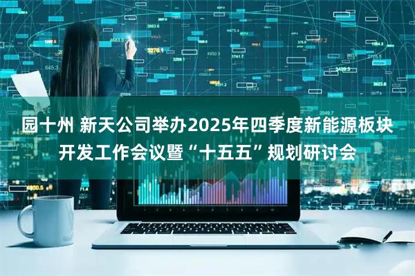 园十州 新天公司举办2025年四季度新能源板块开发工作会议暨“十五五”规划研讨会